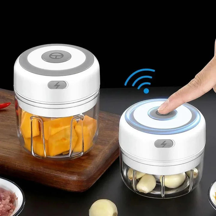 Compact Food Chopper with USB Charge