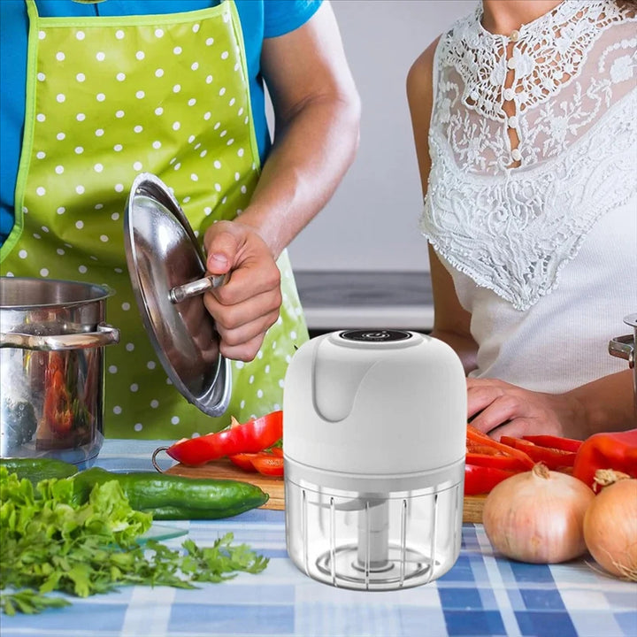 Compact Food Chopper with USB Charge