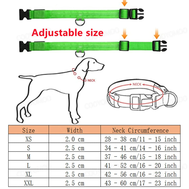 Premium LED Dog Collar