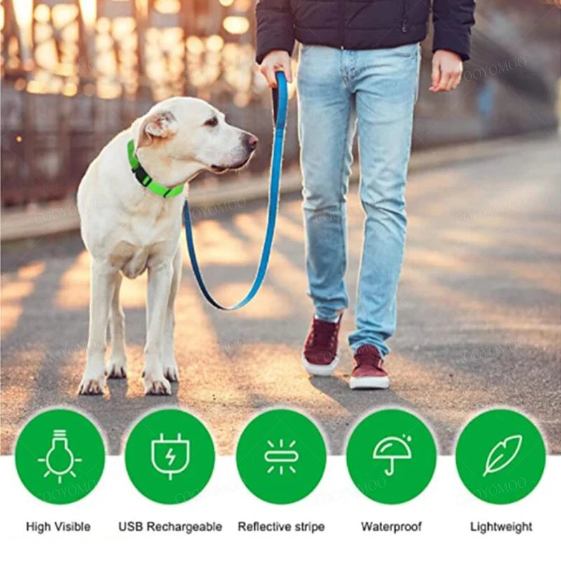 LED Dog Collar - USB Rechargeable | Anti-Lost, Waterproof, Night Safety