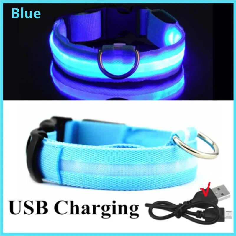 LED Dog Collar - USB Rechargeable | Anti-Lost, Waterproof, Night Safety