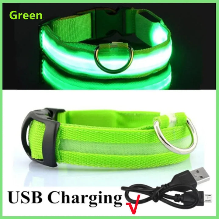 Premium LED Dog Collar