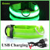 Premium LED Dog Collar