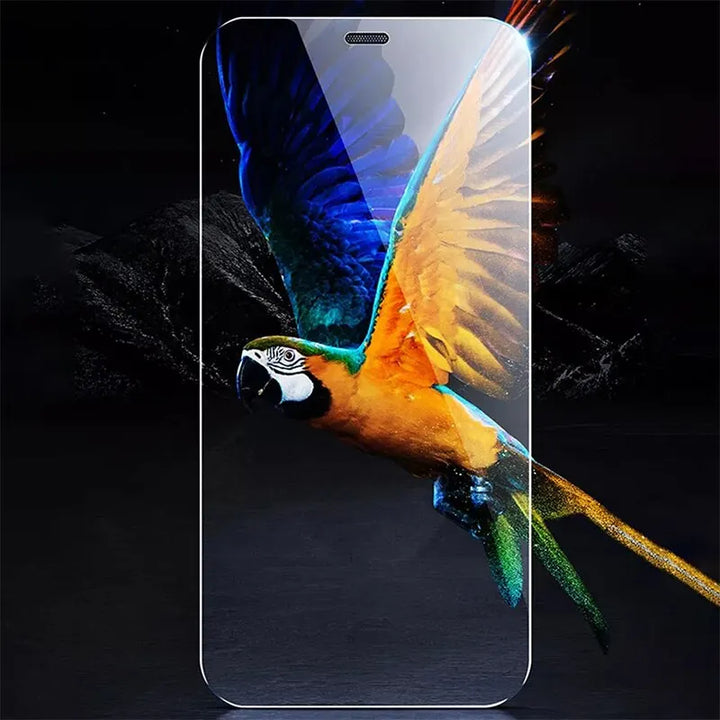 iPhone Tempered Glass Set