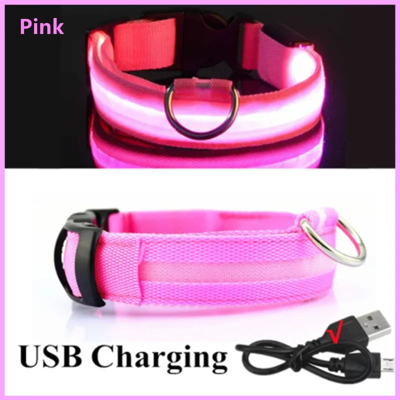 LED Dog Collar - USB Rechargeable | Anti-Lost, Waterproof, Night Safety