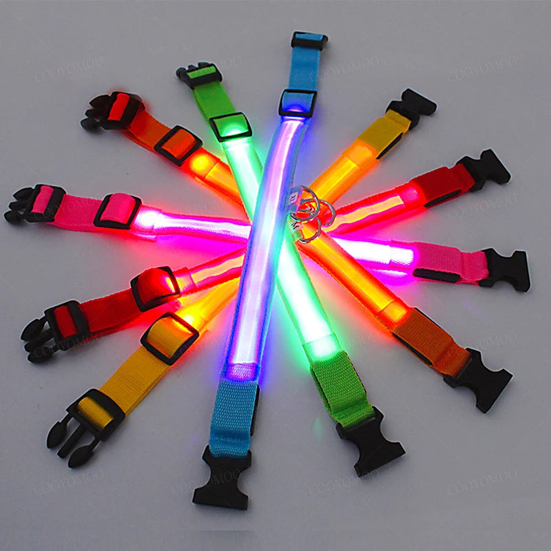 LED Dog Collar - USB Rechargeable | Anti-Lost, Waterproof, Night Safety