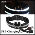LED Dog Collar - USB Rechargeable | Anti-Lost, Waterproof, Night Safety