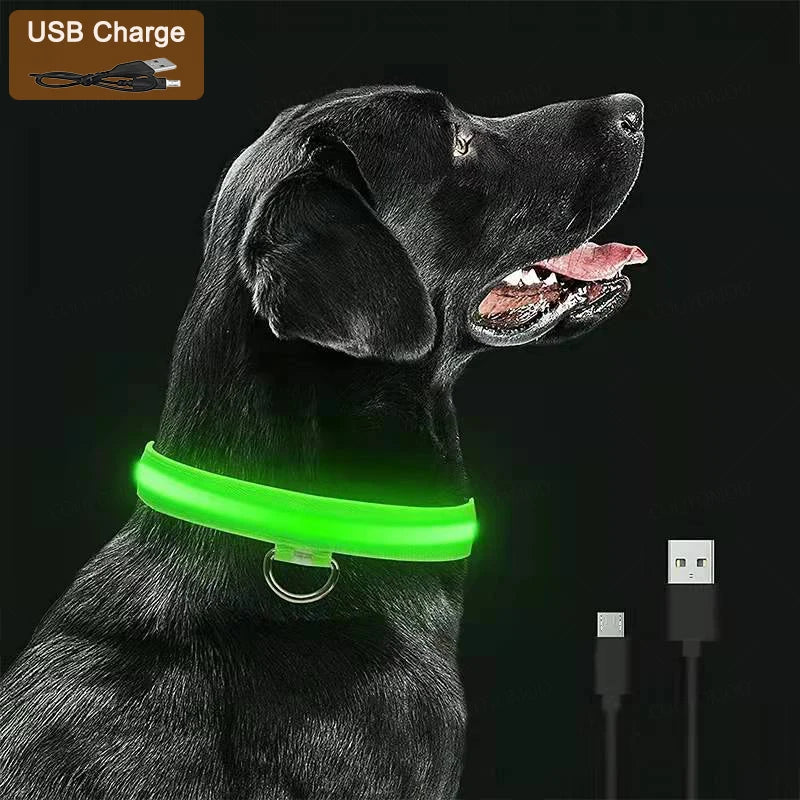 LED Dog Collar - USB Rechargeable | Anti-Lost, Waterproof, Night Safety