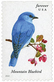 2014 First-Class Forever Stamp Songbirds (5 books 100 stamps)