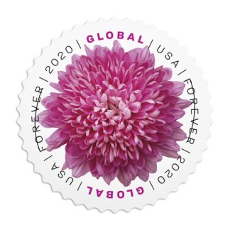 Global: Chrysanthemum  Stamps(10 Sheets 100 Stamps)